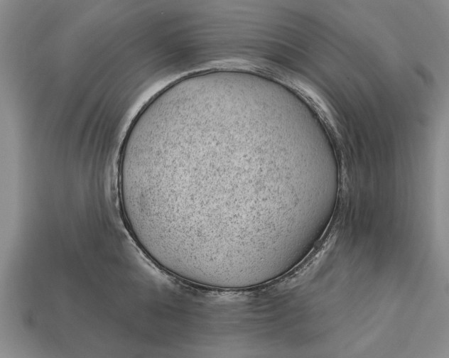 X0000112920808200909141311
