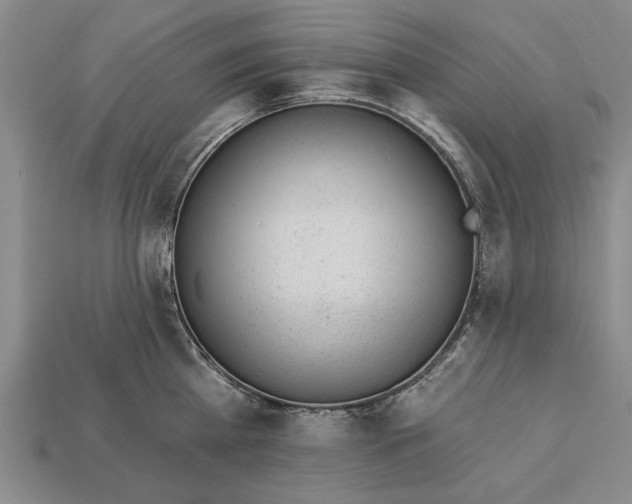 X0000112920809200909141311