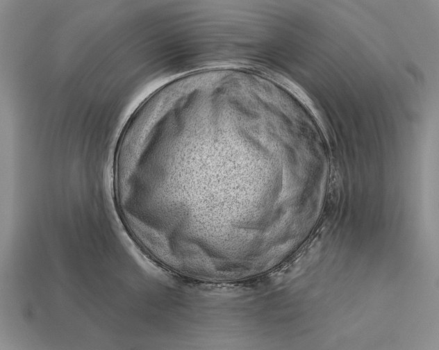 X0000112920811200909141311