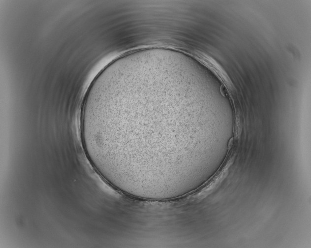 X0000112920812200909141311