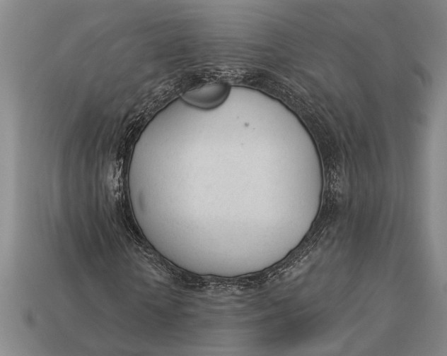 X0000112920818200909141311