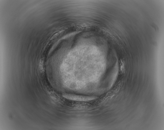 X0000112920819200909141311
