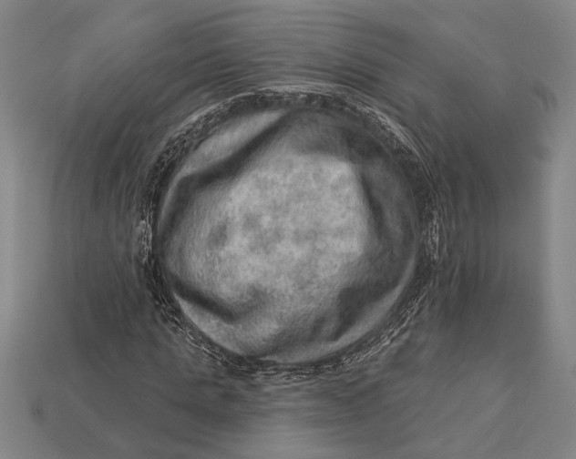 X0000112920821200909141311
