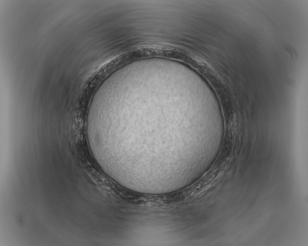 X0000112920822200909141311