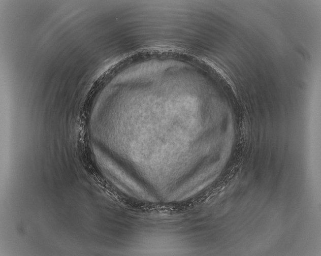 X0000112920823200909141311