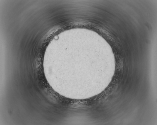 X0000112920824200909141311