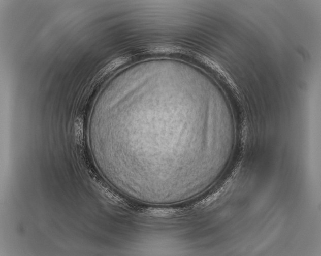 X0000112920825200909141311