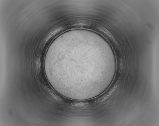 X0000112920826200909141311