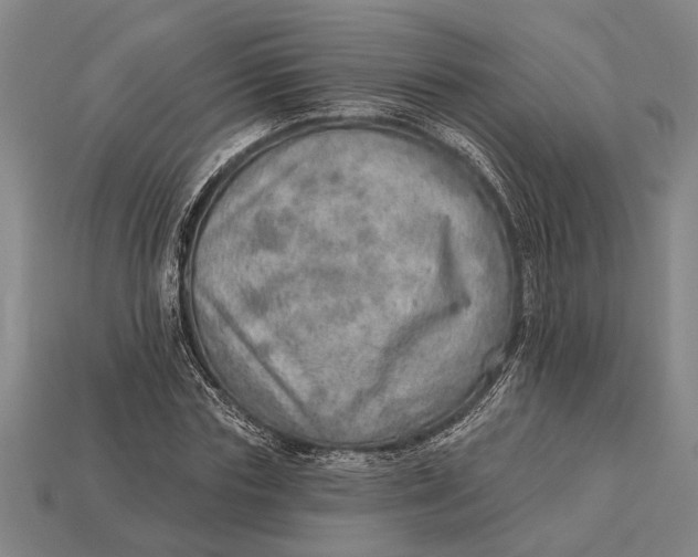 X0000112920827200909141311