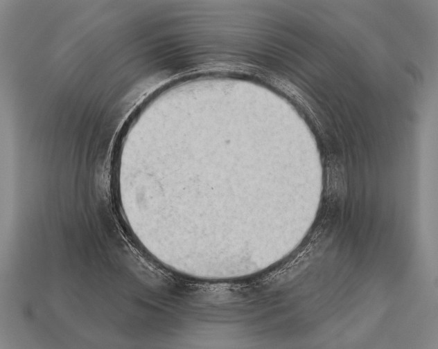X0000112920828200909141311