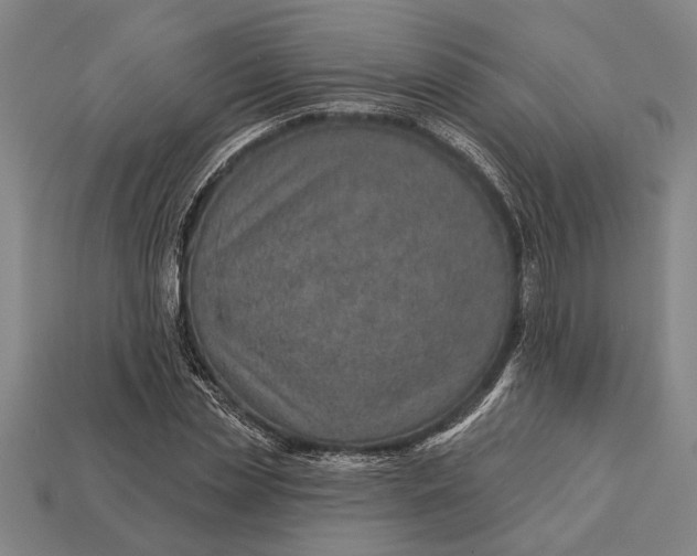 X0000112920829200909141311