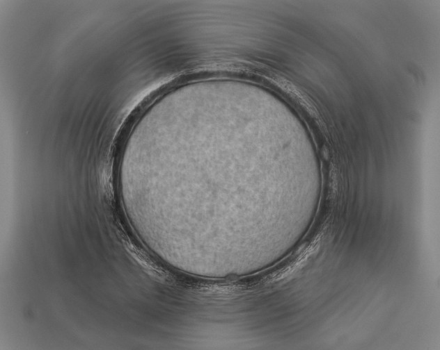 X0000112920830200909141311