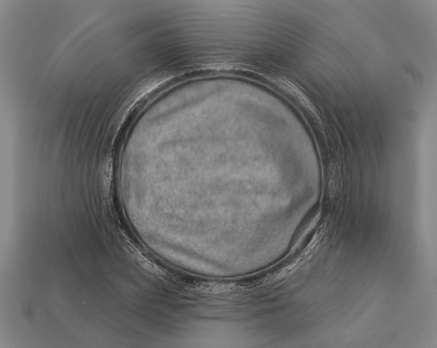 X0000112920831200909141311