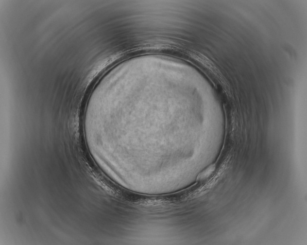 X0000112920834200909141311