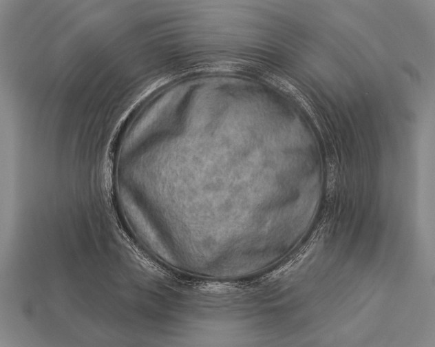 X0000112920835200909141311