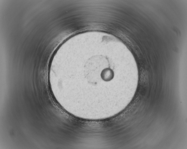 X0000112920836200909141311
