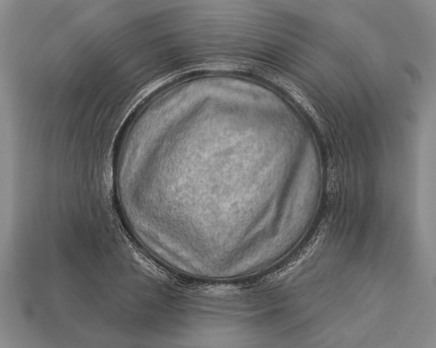 X0000112920837200909141311