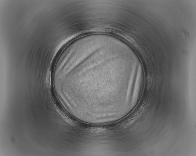 X0000112920838200909141311