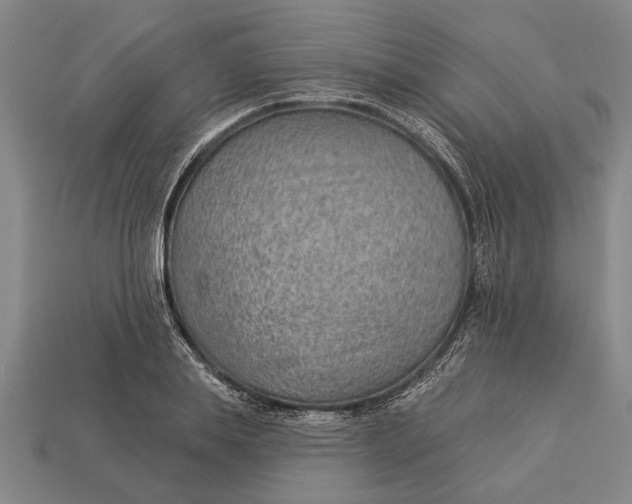 X0000112920839200909141311