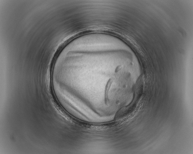 X0000112920840200909141311