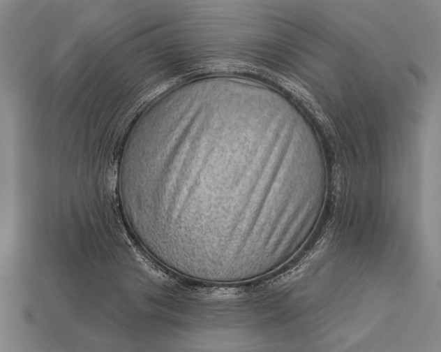 X0000112920841200909141311