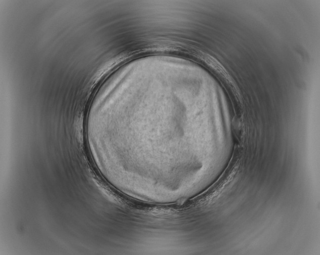 X0000112920842200909141311