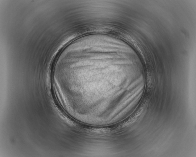 X0000112920843200909141311