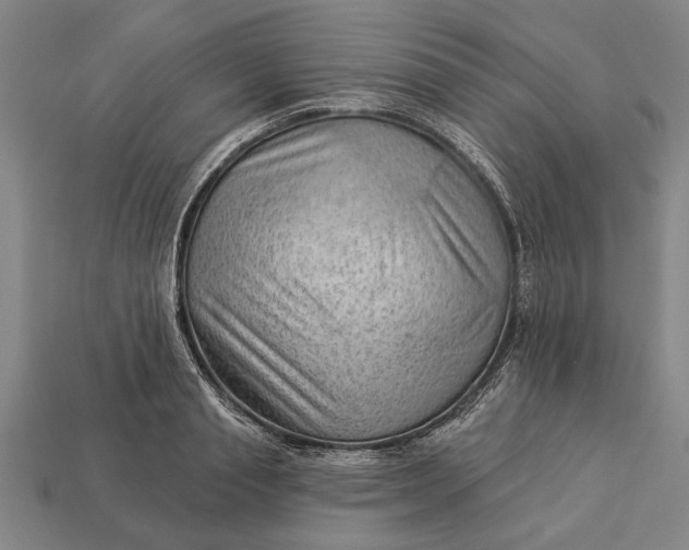 X0000112920845200909141311
