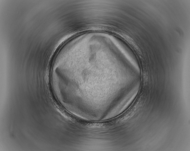 X0000112920846200909141311