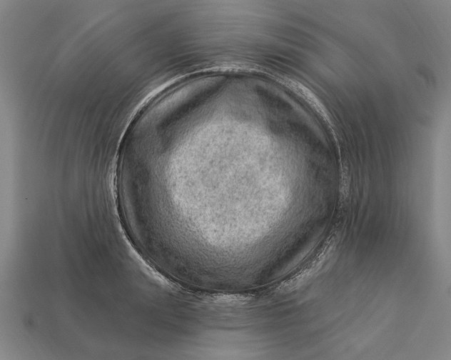 X0000112920847200909141311