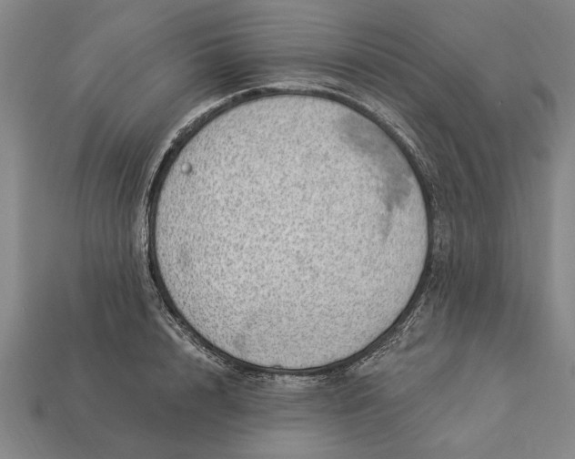 X0000112920848200909141311