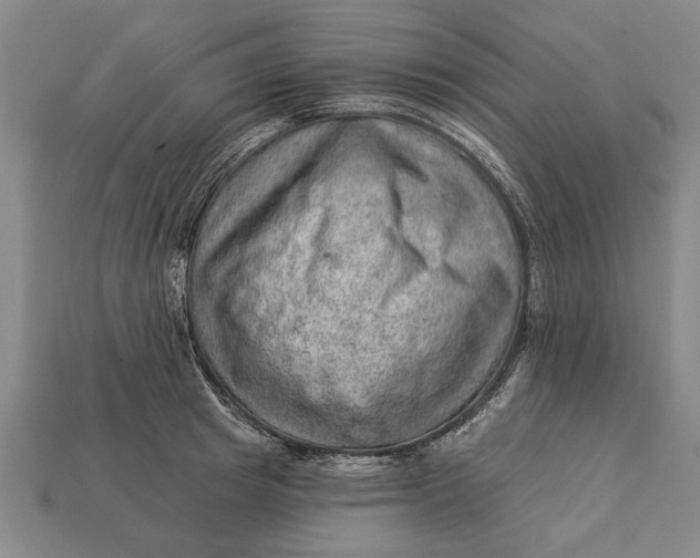 X0000112920849200909141311