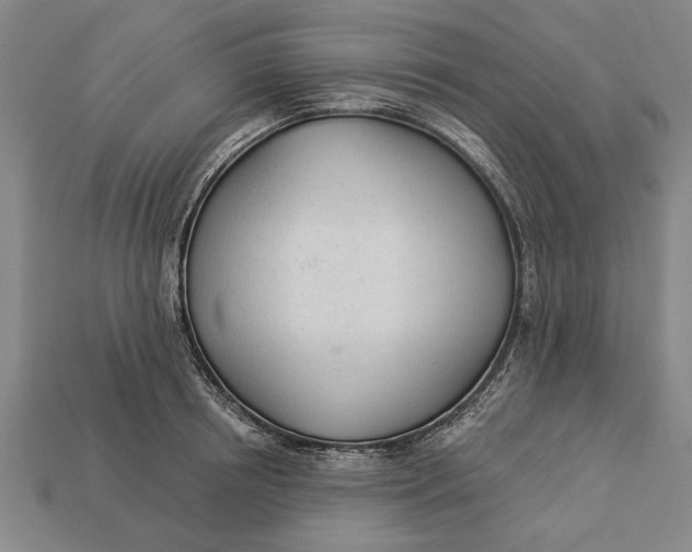 X0000112920850200909141311