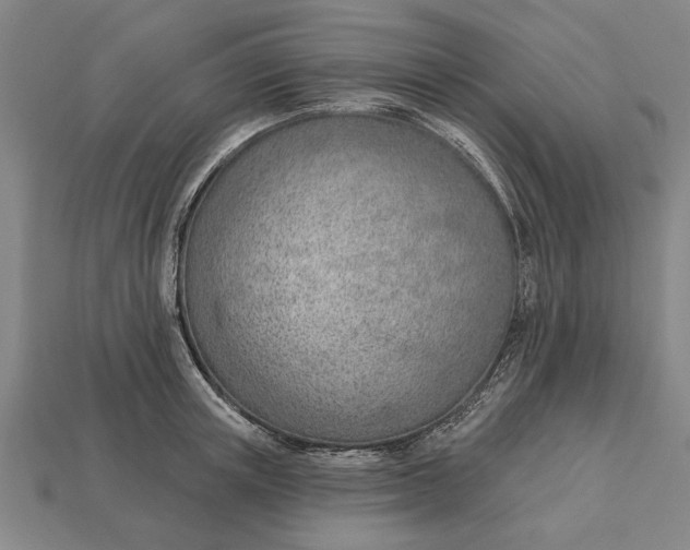 X0000112920851200909141311