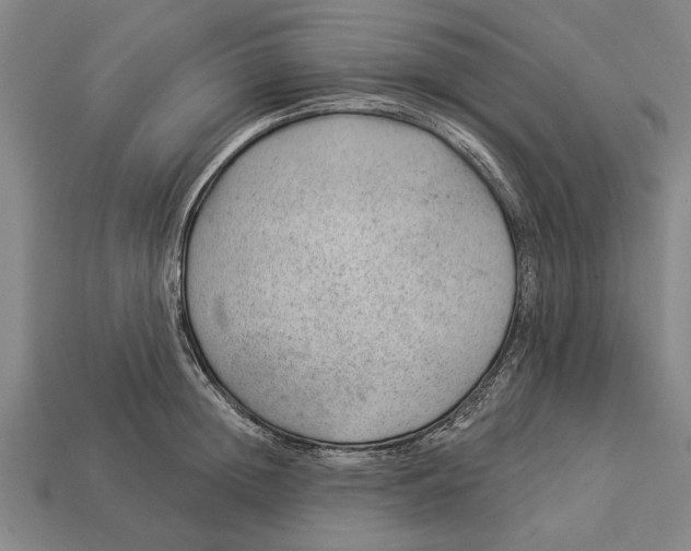 X0000112920852200909141311