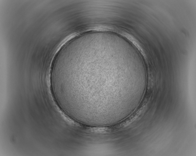 X0000112920853200909141311