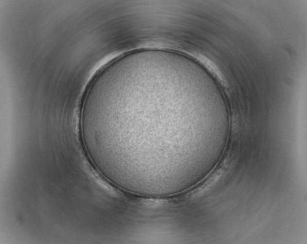 X0000112920854200909141311
