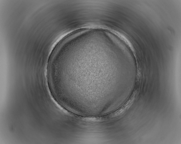 X0000112920855200909141311