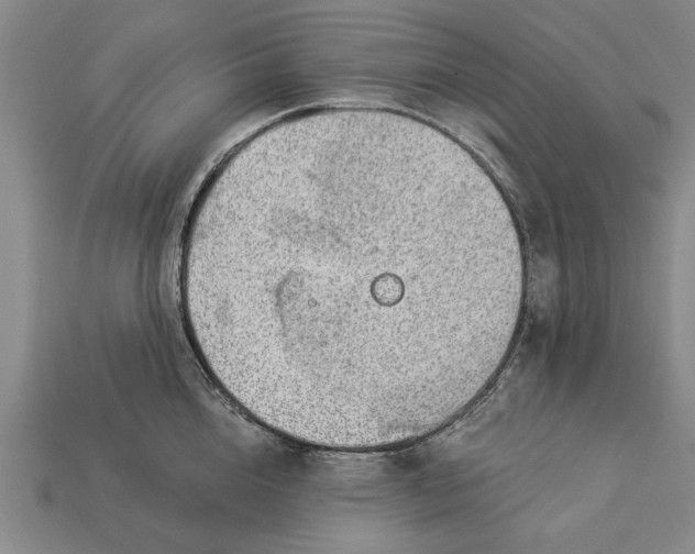 X0000112920856200909141311