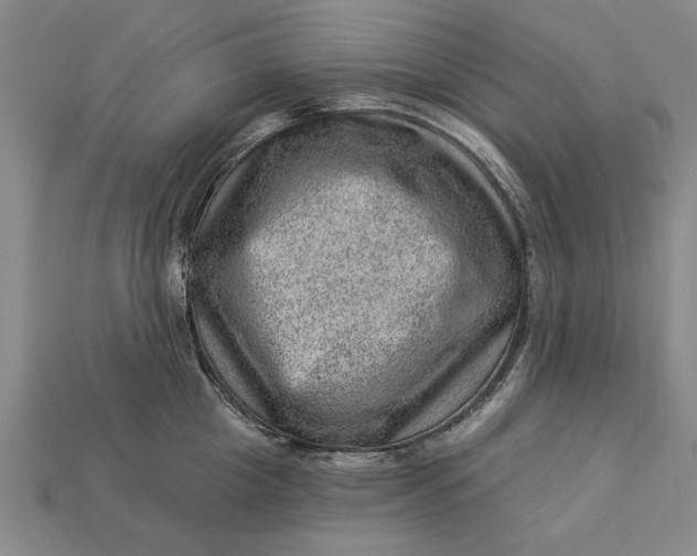 X0000112920857200909141311