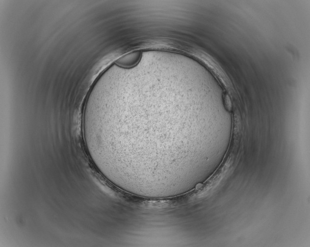 X0000112920858200909141311
