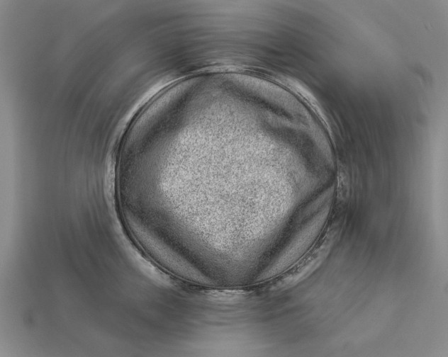 X0000112920859200909141311