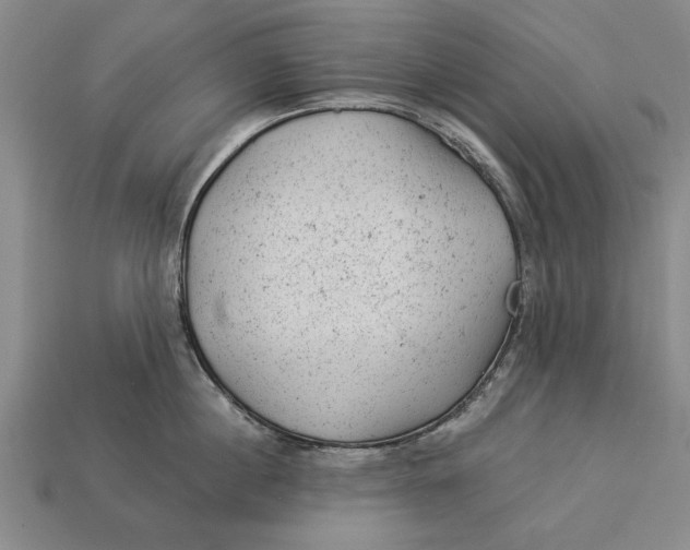 X0000112920860200909141311