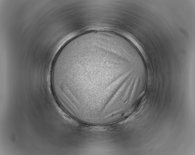 X0000112920861200909141311