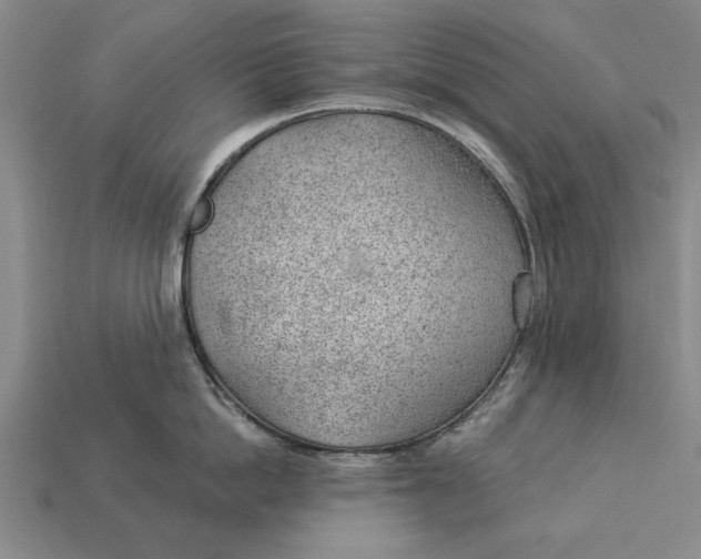 X0000112920862200909141311