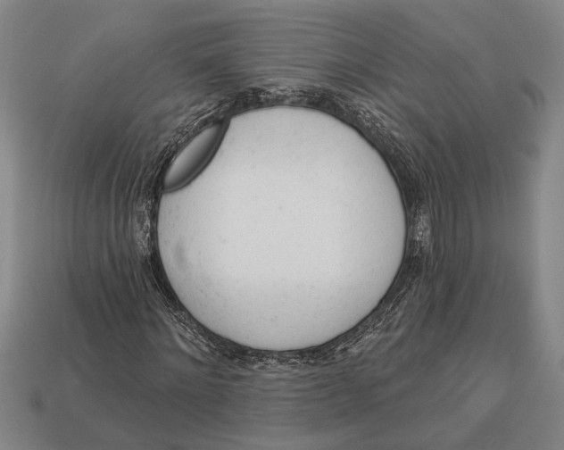 X0000112920868200909141311