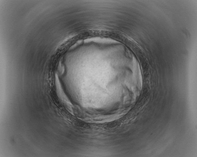 X0000112920870200909141310