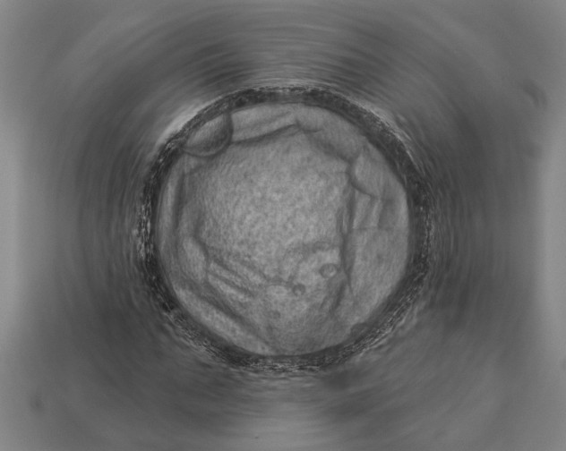 X0000112920871200909141310