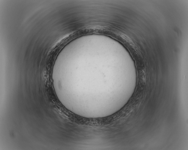 X0000112920872200909141310
