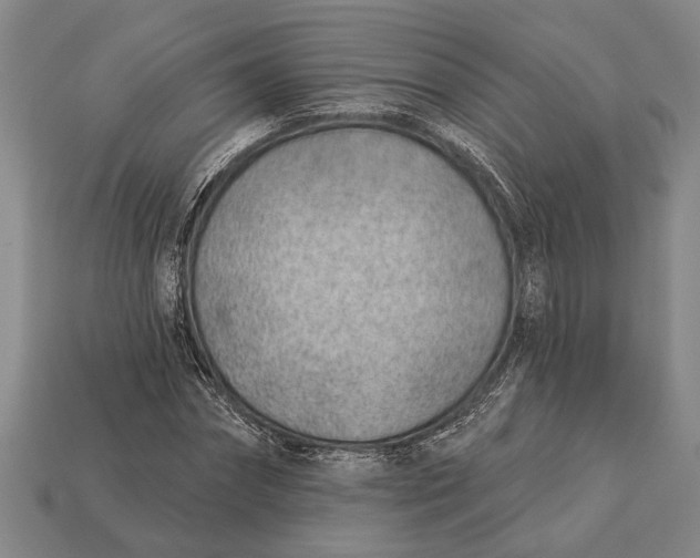 X0000112920874200909141310